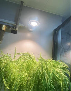 Silver Plant Lights Full Spectrum LED 10W Warm Light Corded Spot Lamp Imitation Sunlight For Plants