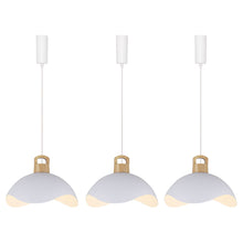 Load image into Gallery viewer, Track Pendant Light with Multi Color Iron Shade, Adjustable Length with 3 light for Home Lights