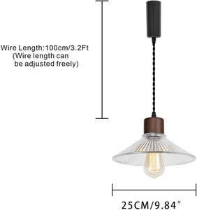 Adjusted Cable Track Lamp Walnut Base Clear Glass Shade Modern Pendant Lighting For Home Store