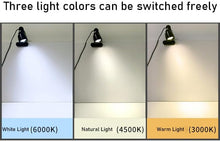 Load image into Gallery viewer, Black Mini LED Spotlight, Dimmable, Clip-on, USB Wiring, for Desk, Bedside, Night Light