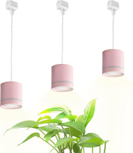 Load image into Gallery viewer, Track Pendant Light Full Spectrum Adjusted Height Linear for Dining 3 Lights Custom Plant Grow Light