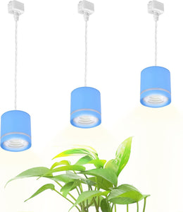 Track Pendant Light Full Spectrum Adjusted Height Linear for Dining 3 Lights Custom Plant Grow Light