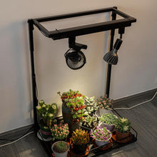 Load image into Gallery viewer, 1xTrack Rail, 1xTrack Light With Full Spectrum Bulb, 1xTrack Mini Fans Black Plant Growing Kit