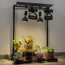 Load image into Gallery viewer, 1 Track Rail, 2 Adjustable Wind Speed Track Mini Fans Plant Growing Kit For Plants Pet Room