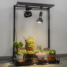 Load image into Gallery viewer, 1 Track Rail, 2 Track Mini Fans Black Plant Growing Kit For Plants Air Circulation Ventilation