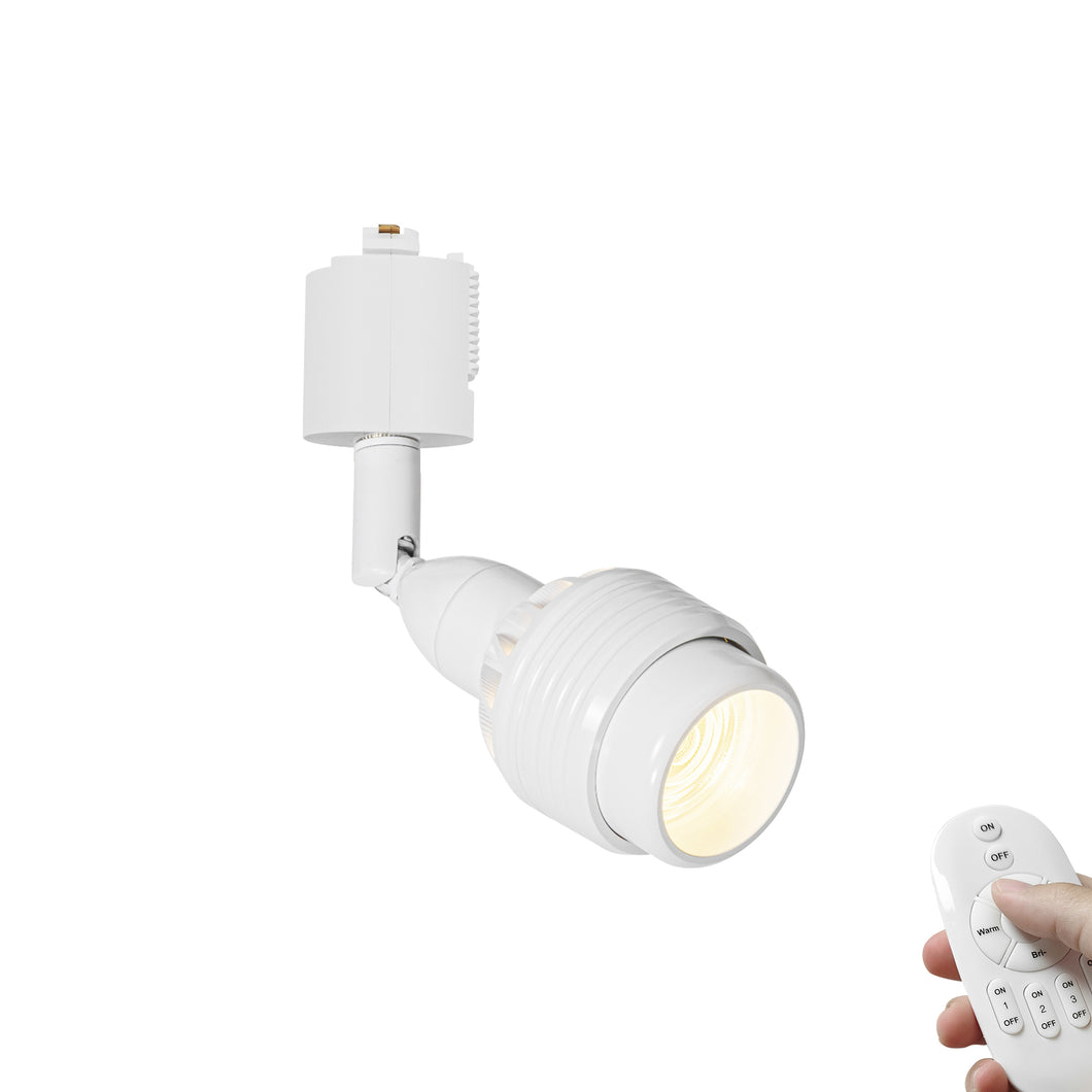 Dimmable Remote Spot Light Rotated Angle Vintage Track Focus Light Adjusted Light Beam Range 15°-60°